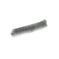 transparent-Photoroom - 2025-12-23T102727.592
