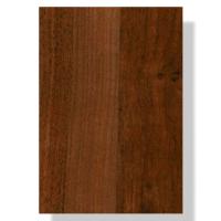 transparent-Photoroom - 2026-01-16T105404.103