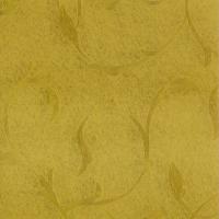 Золотой вьюн 1