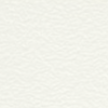 transparent-Photoroom (24)
