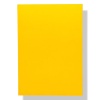 transparent-Photoroom - 2026-02-19T114132.990