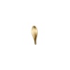 IMG_0454