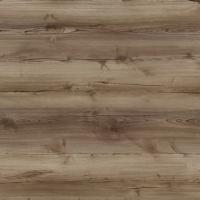 Баварский дуб 1.1