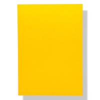 transparent-Photoroom - 2026-02-19T114132.990