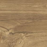 Дуб крымский 1