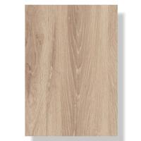 transparent-Photoroom - 2025-12-02T144251.295