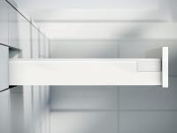 29263074 (1)