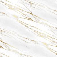 xkrt6j8r062sq86swd9eul40m07e8e02