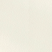 transparent-Photoroom (21)