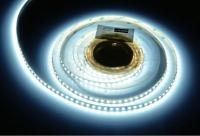 n8kk52rjv7g02scohjl7gtolz9smcun1