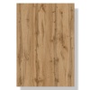 transparent-Photoroom - 2026-01-12T150009.185