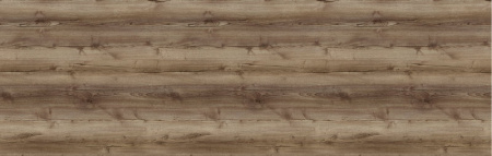 Баварский дуб 1