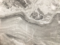 Паладина светлая глянец